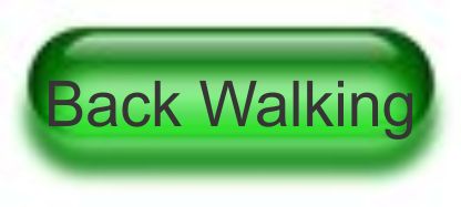 Back Walking Massage